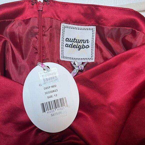 Autumn Adeigbo Clarette Deep Red Satin Puff Sleeve Boned Sweetheart Mini $675 - Picture 7 of 8